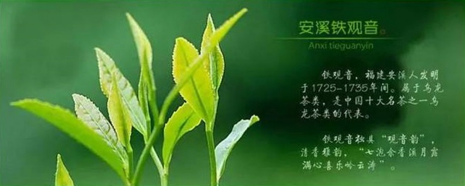 安溪鐵觀(guān)音