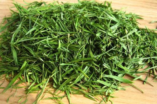 哪類人不適合喝石竹茶，石竹茶的功效與禁忌