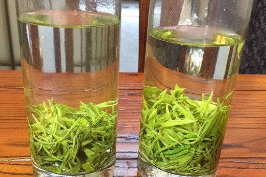 黃金茶的功效及禁忌癥，黃金茶有什么副作用嗎？