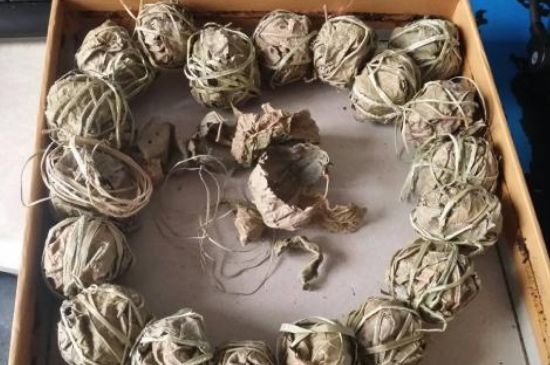 鷓鴣茶用拆開泡嗎，鷓鴣茶要解開繩子泡嗎