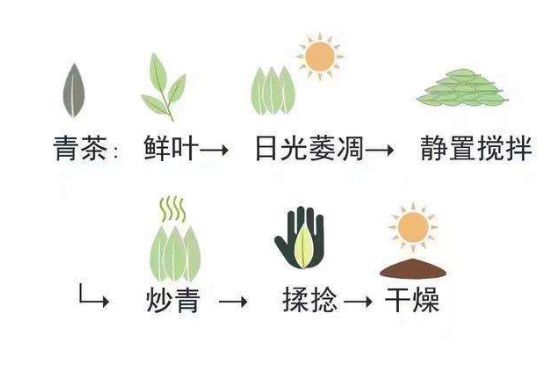 茶葉名稱(chēng)大全和圖片，茶葉名字大全三四個(gè)字！