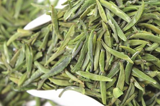 雀舌茶什么人不能喝，雀舌茶的功效與禁忌