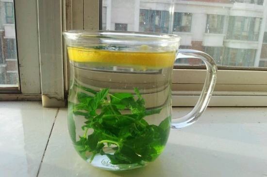 薄荷茶的功效與作用，喝薄荷茶有什么好處？