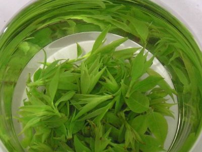 茶葉具有什么功效，茶葉的功效與作用大全