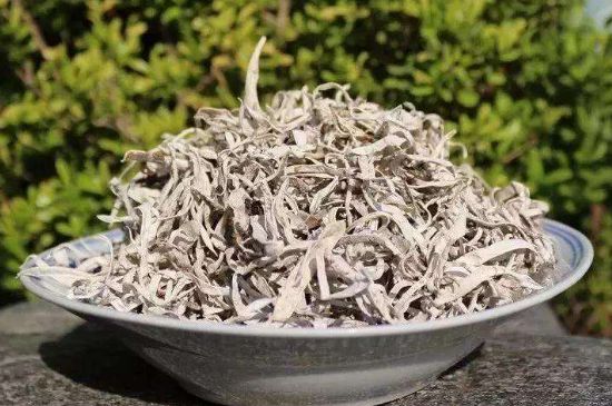 麗江雪茶的功效與作用，白雪茶有什么功效和作用