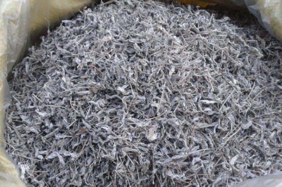 怎樣辨別莓茶發(fā)霉了，莓茶發(fā)霉和白霜的區(qū)別