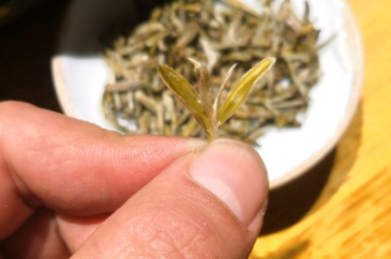 六大茶類(lèi)哪種適合長(zhǎng)期存放，日常如何保存方法一覽？