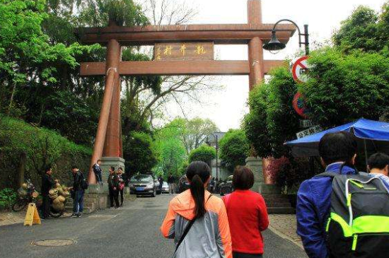 杭州買龍井茶攻略，怎么買到正宗的西湖龍井？