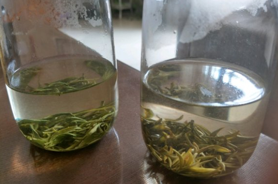 真假碧螺春泡水后區(qū)別，蘇州洞庭碧螺春怎樣鑒別好壞？