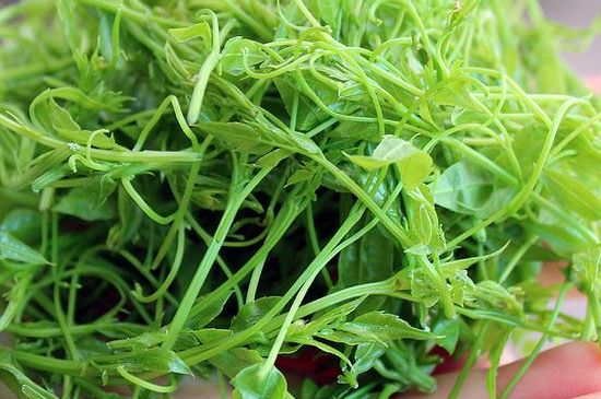 茅巖莓茶保質期有多久，張家界莓茶存放時間長了還能喝嗎？