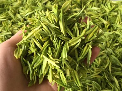 白茶品質(zhì)如何區(qū)分，白茶的優(yōu)劣質(zhì)量辨別方法