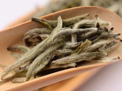 白毫銀針?lè)艓啄曜詈茫缀零y針什么年份最好？