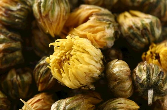 蒲公英搭配大全，蒲公英泡水喝的8種搭配