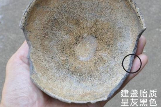 假建盞的特點(diǎn)，真假建盞區(qū)分帶圖