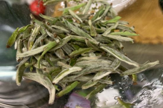 蒸汽煮茶器適合什么茶，蒸汽煮茶器適合用綠茶嗎？