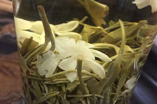 女孩喝茉莉茶的好處，茉莉茶葉的功效與禁忌