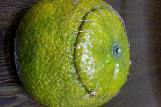 家庭自制柑普茶方法，小青柑制作9個(gè)步驟竅門（圖片）