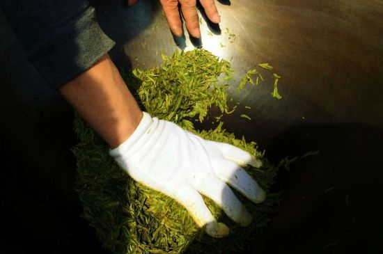 茶葉怎么炒制才香，怎樣炒茶葉更香？