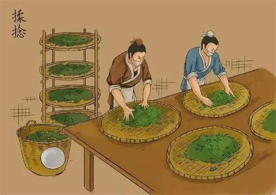 制茶八步驟，制茶工藝流程圖