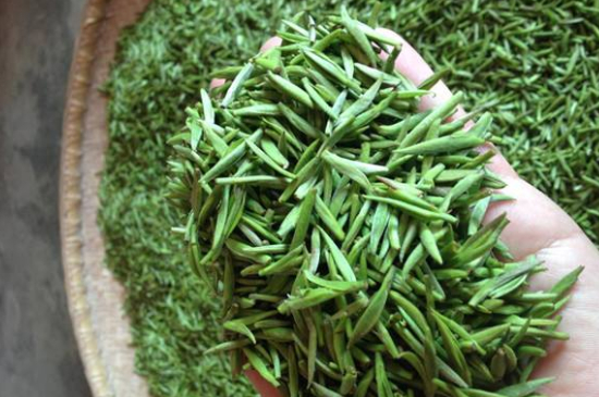 采茶的方法與步驟，如何正確采摘茶葉？