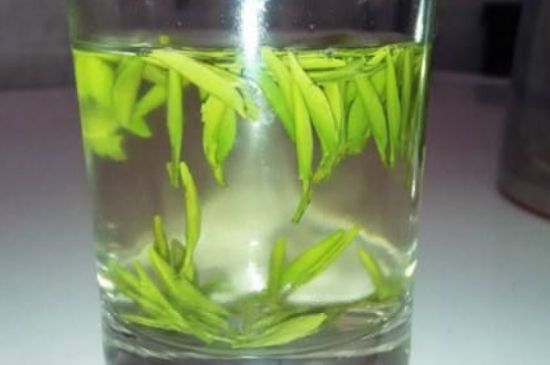 翠眉是什么茶，適合什么時候喝