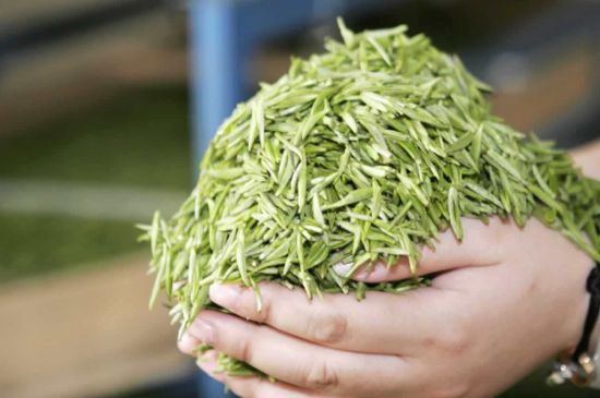 高山云霧茶屬于什么茶，高山云霧茶哪里的最好