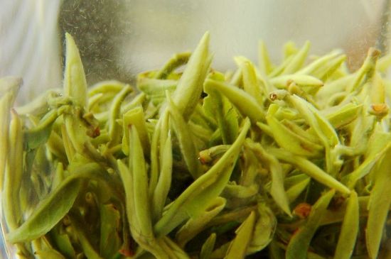 碧螺春為什么泡水渾濁，碧螺春茶葉泡水感覺很臟是混濁的