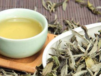 大紅袍好還是白茶好，福鼎白茶和大紅袍哪個貴？