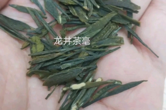 西湖龍井茶毫和發(fā)霉區(qū)別圖片，長霉的龍井茶葉會是什么樣？