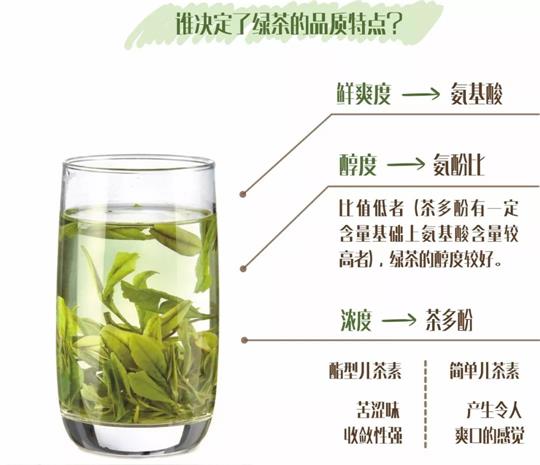 什么綠茶口味重口感濃郁，口味比較重的綠茶都有那些？