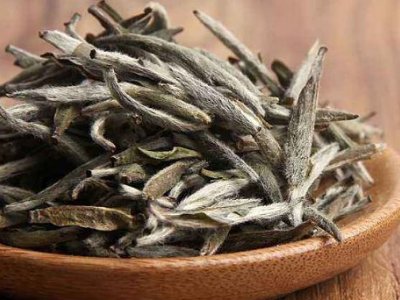 白茶有哪些品種排名，<a href=http://m.mrakjxw.com/fenlei/baicha/ target=_blank class=infotextkey>白茶的種類</a>大全