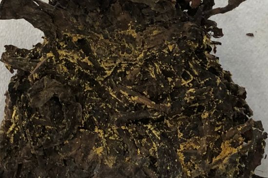 怎么知道涇渭茯茶是否變質(zhì)，茯磚茶金花和發(fā)霉的區(qū)別