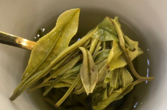 新舊白茶怎么區(qū)分，怎么分辨白茶是新還是舊