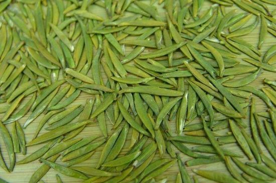 竹葉青和毛尖的區(qū)別，毛尖和竹葉青怎么分辨？