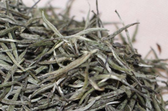 什么人不能喝白茶，白茶不宜什么人喝？