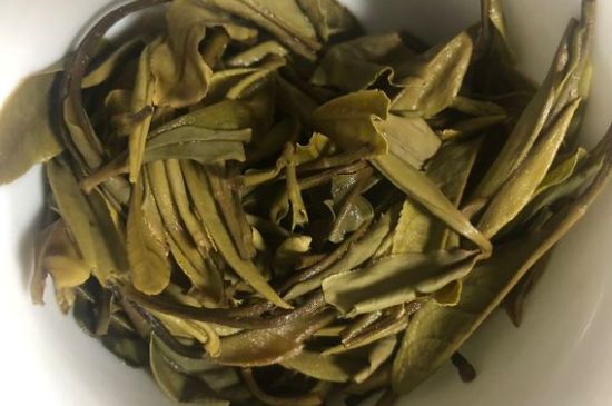 三年白茶賽砒霜，這是真的嗎？