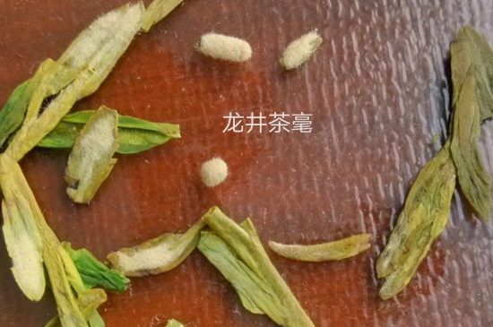 西湖龍井茶毫和發(fā)霉區(qū)別圖片，長霉的龍井茶葉會是什么樣？