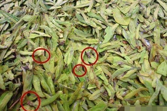 烏牛早和龍井的區(qū)別圖片，龍井43號(hào)和烏牛早茶的對(duì)比