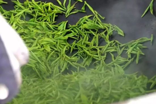 碧螺春為什么泡水渾濁，碧螺春茶葉泡水感覺很臟是混濁的