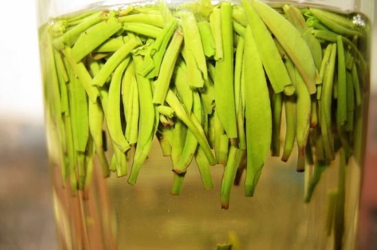 雀舌為何喝著是苦的，雀舌味道怎么那么苦澀？