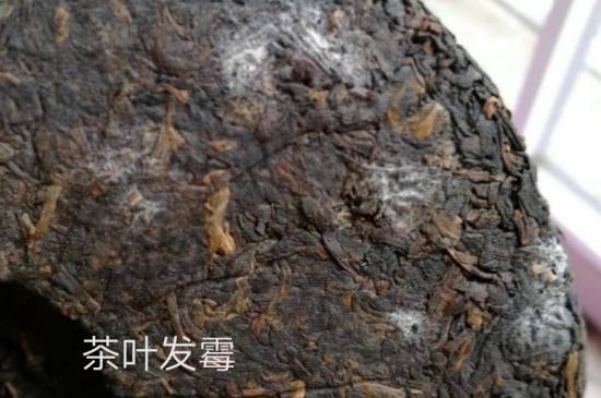西湖龍井茶毫和發(fā)霉區(qū)別圖片，長霉的龍井茶葉會是什么樣？